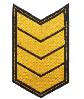 Шеврон по годам службы (годовка) 20 лет службы (выслуги лет), 8х12 см Шеврон по годам службы (годовка) 20 лет службы (выслуги лет), 8х12 см